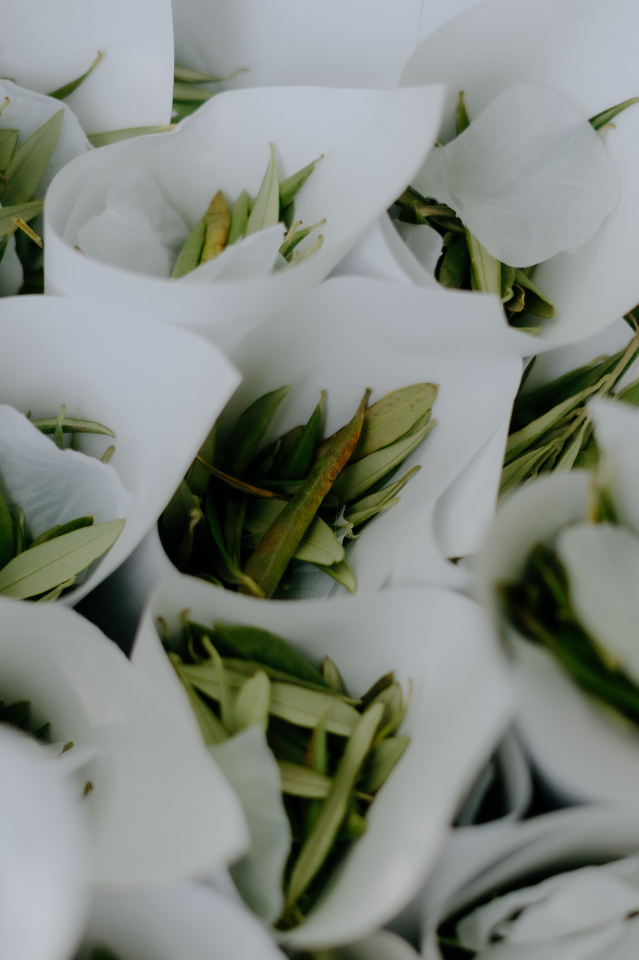 Wedding Planner à Aix-en-Provence